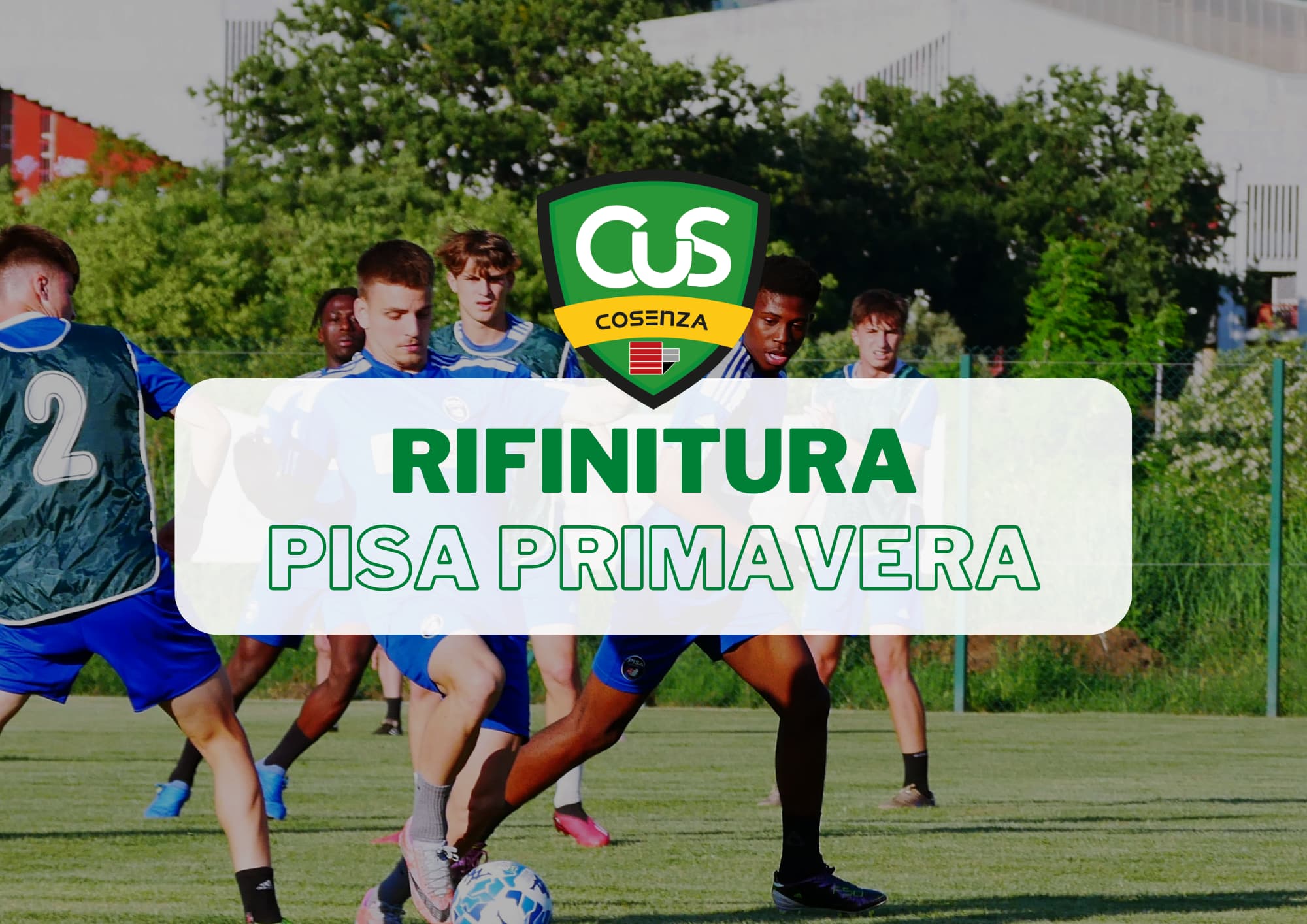 pisa primavera
